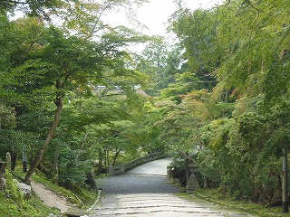 総本山_f0215580_1651482.jpg