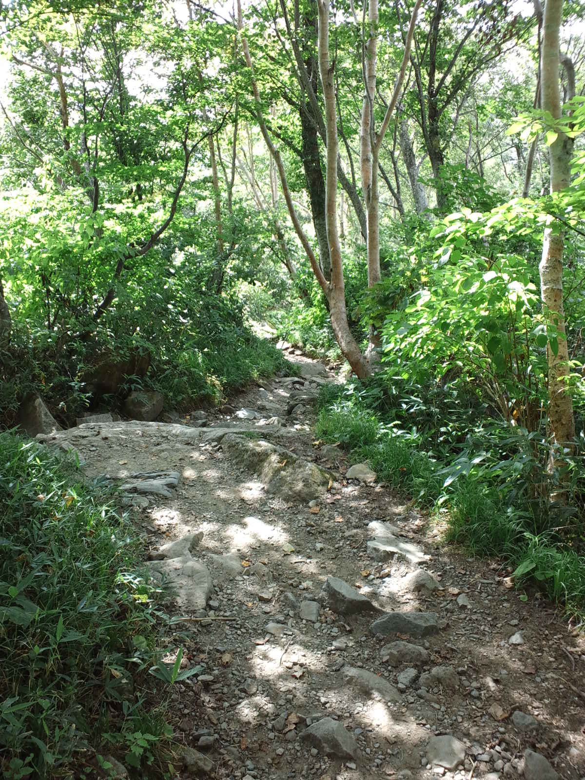 e0024081_14464861.jpg