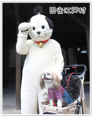 14年9月12日 日光江戸村 週末は 愛犬モモと永吉 拓海とお出かけ Kimi S Eye