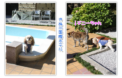 14年9月12日 日光江戸村 週末は 愛犬モモと永吉 拓海とお出かけ Kimi S Eye