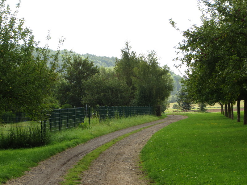 c0025187_23522941.jpg