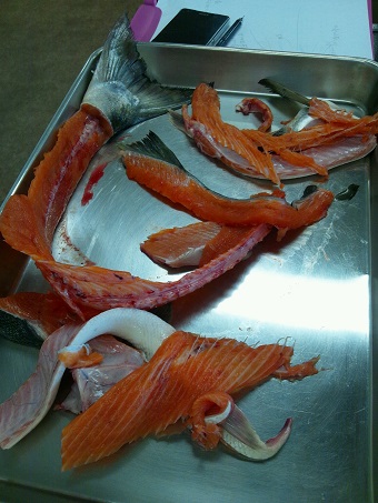 お魚くらぶ：鮭をまるごと編_b0255896_22394049.jpg