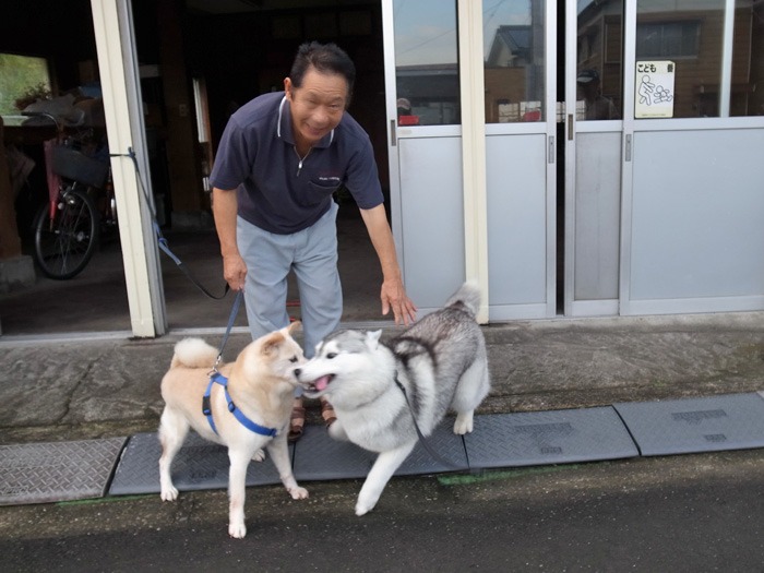 喜びの舞 (^✪ܫ✪^)_c0049299_21301681.jpg