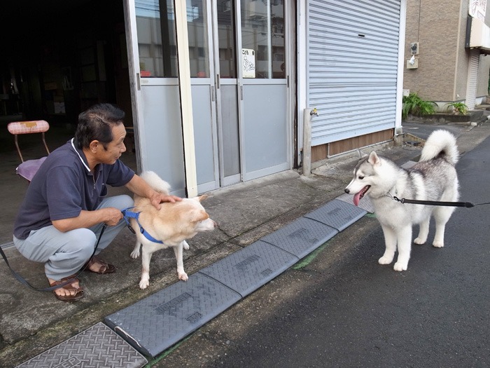 喜びの舞 (^✪ܫ✪^)_c0049299_21302028.jpg