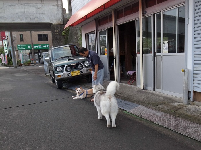 喜びの舞 (^✪ܫ✪^)_c0049299_21302479.jpg