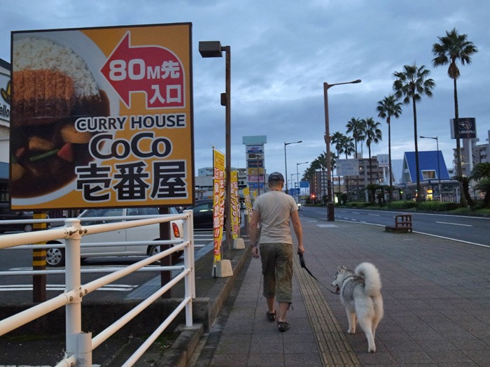 喜びの舞 (^✪ܫ✪^)_c0049299_21314927.jpg