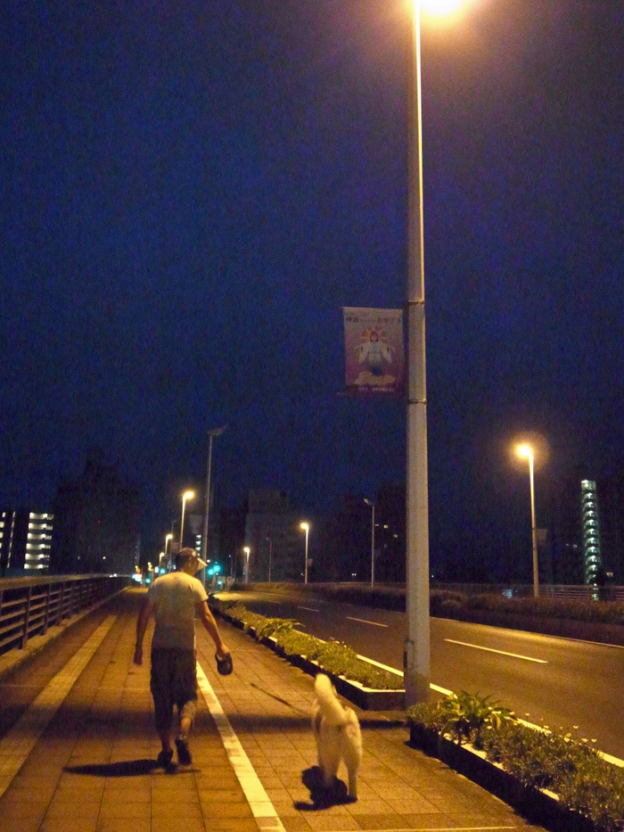 喜びの舞 (^✪ܫ✪^)_c0049299_21315534.jpg