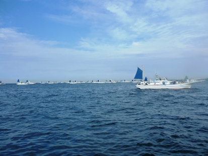 ワラサばくちょう_e0077899_15195725.jpg