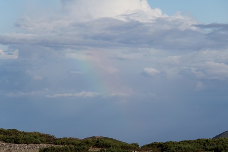 a0158702_10511557.jpg