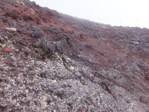 a0271502_1714245.jpg