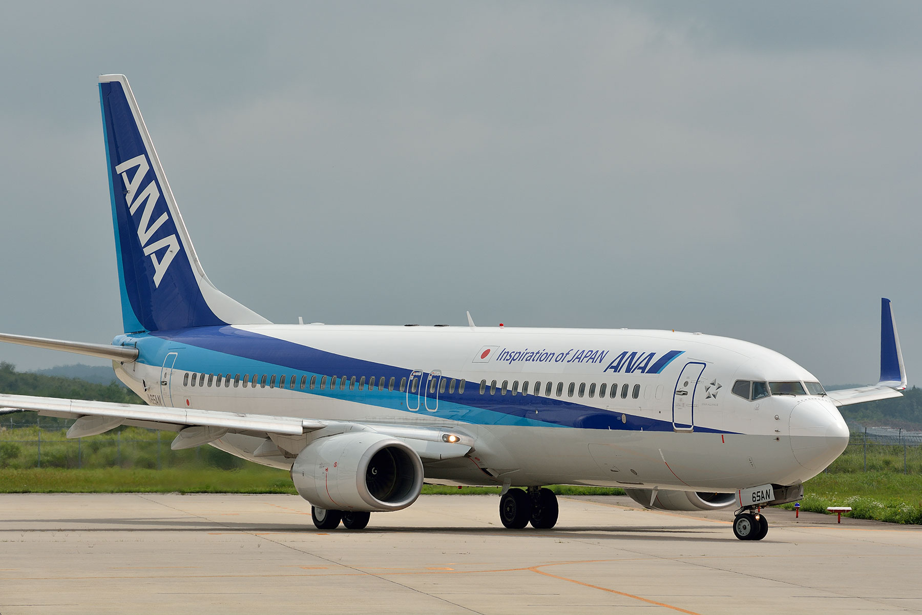 BOEING 737-800 / JA65AN : SKY LOUNGE GARDEN -transporter side-