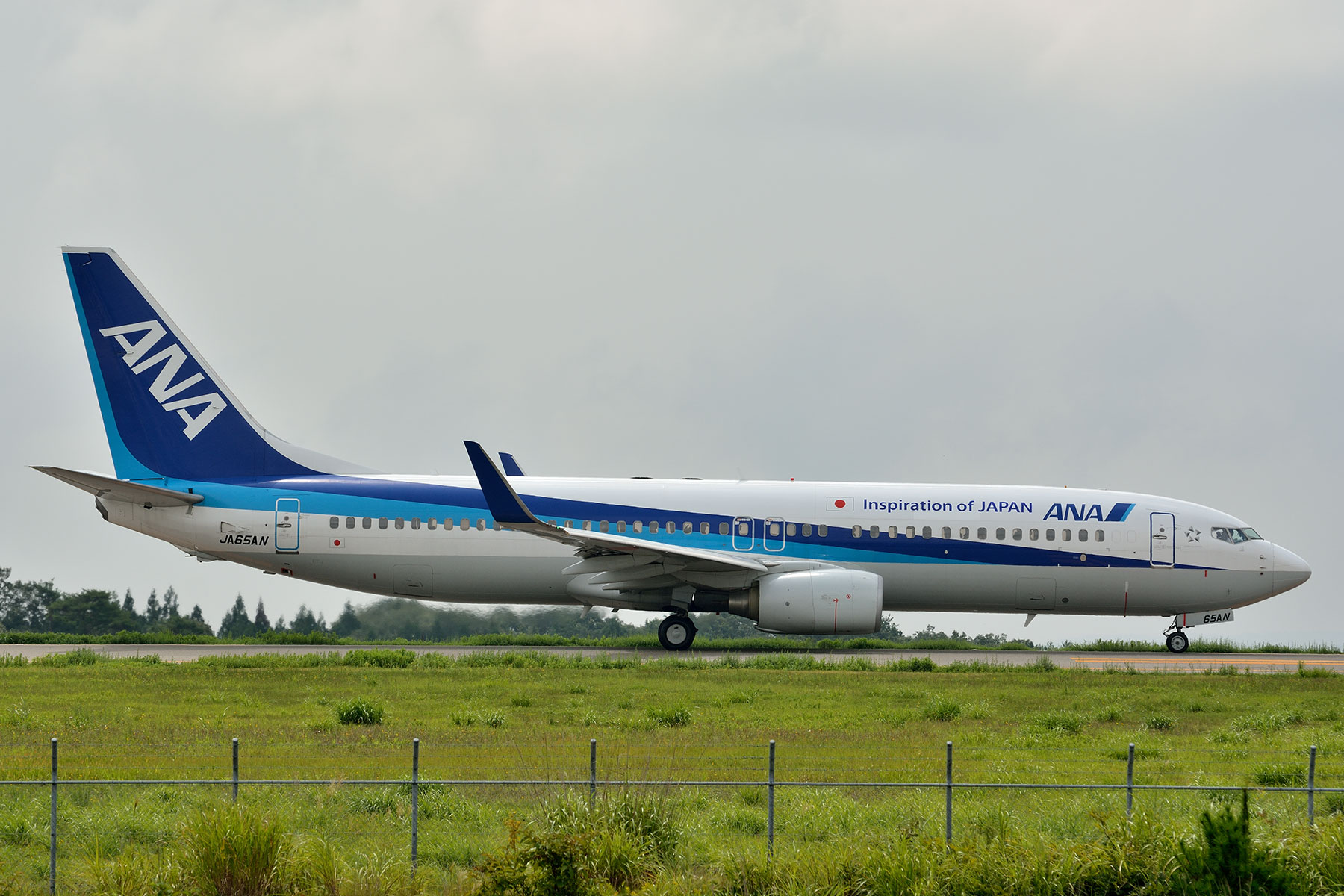 全日空商事 【予約商品】737-800 ANA 全日空 ダイキャストモデル