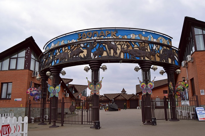 a0151913_41146.jpg