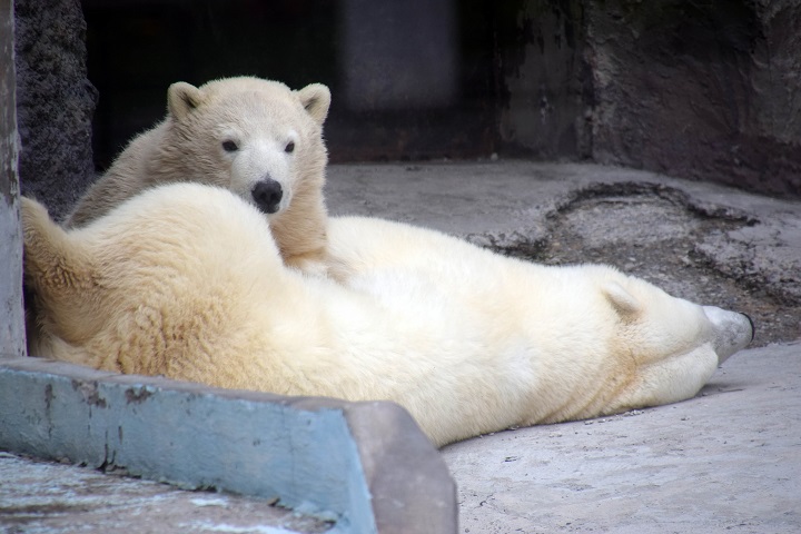 a0151913_448873.jpg
