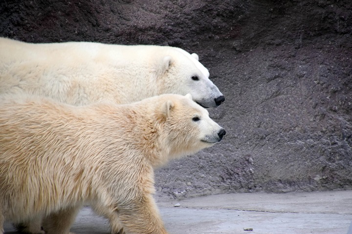 a0151913_564268.jpg