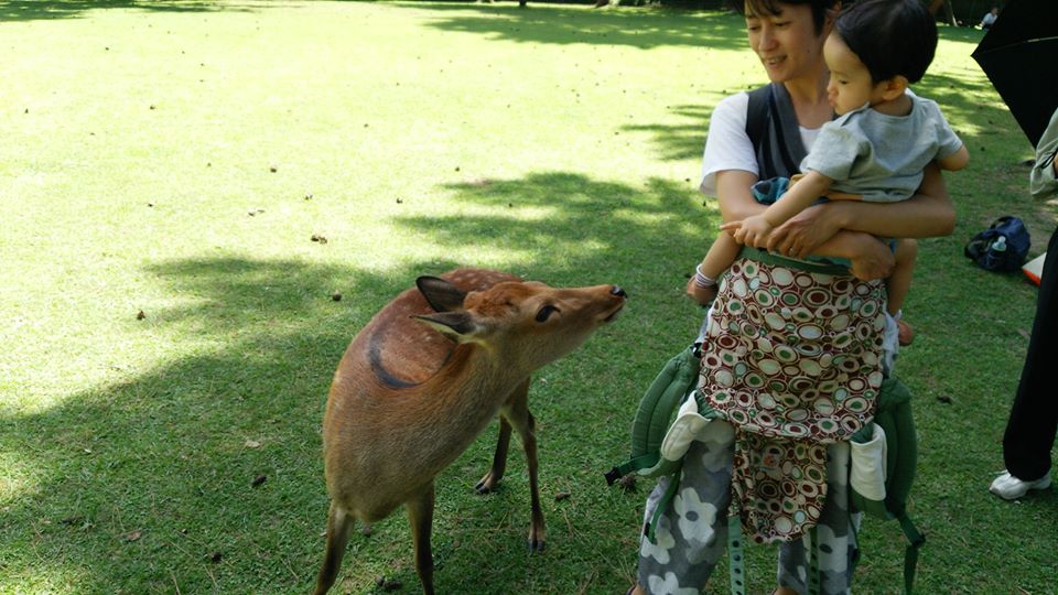 服部緑地公園~万博記念公園~伽奈泥庵~猿沢の池~奈良公園~東大寺~まほろばキッチン_f0006713_00212469.jpg