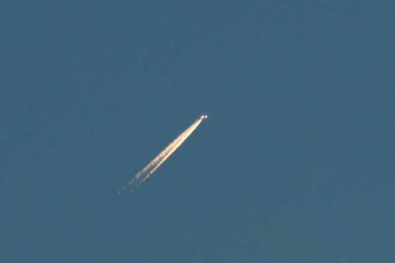 a0278914_4521269.jpg