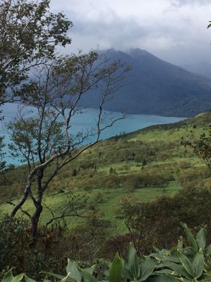 f0147821_053595.jpg