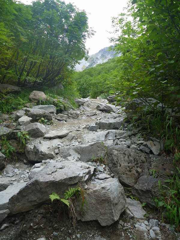 e0284726_0124342.jpg