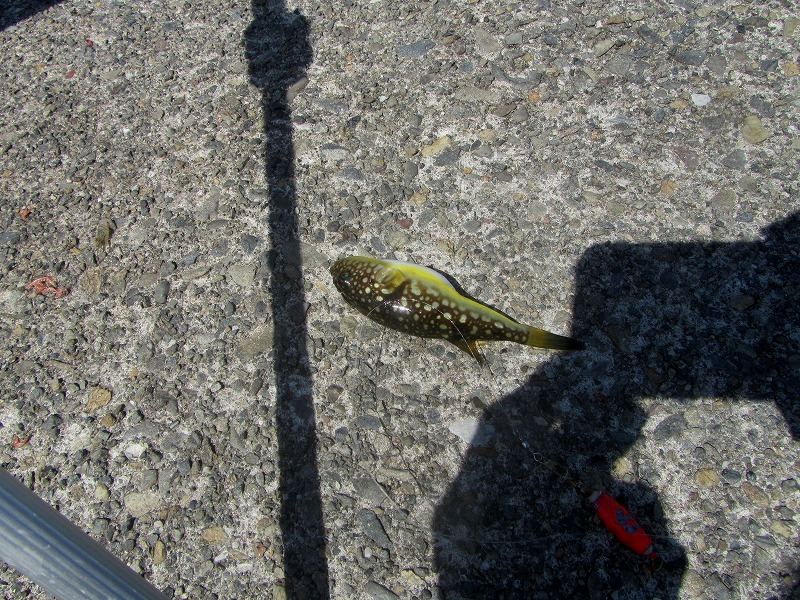 f0054429_2231104.jpg