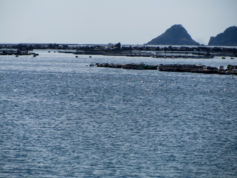 f0054429_22361250.jpg