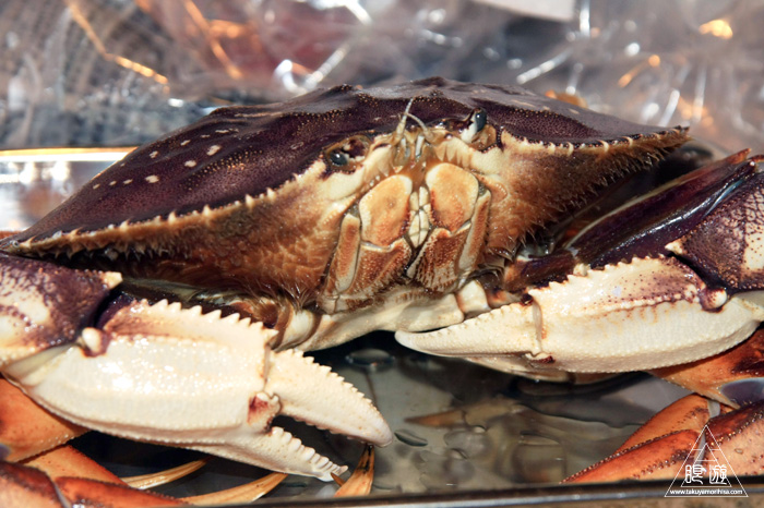 386 New England Lobster ~ダンジネスクラブを食らう~_c0211532_1891336.jpg