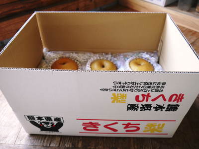 熊本梨 ジャンボ梨『新高』 樹上完熟で本日初出荷しました!!_a0254656_18231257.jpg