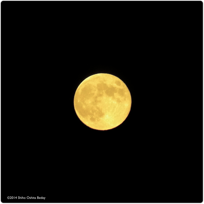  超月　Super moon_e0082860_22161201.jpg