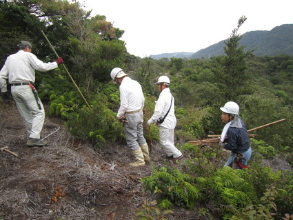 みさき里山クラブ・活動日から_f0053885_2119133.jpg