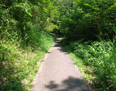 b0123486_175049.jpg