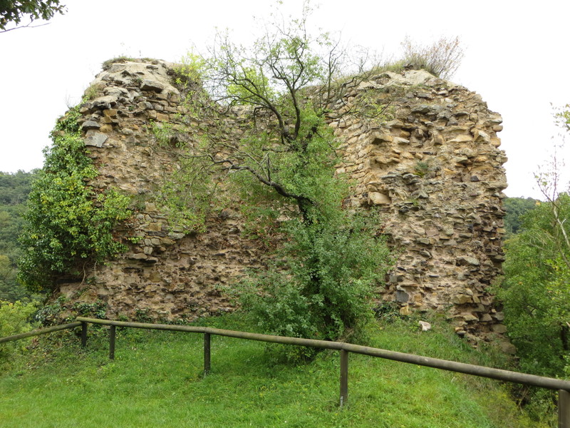 c0025187_0262691.jpg