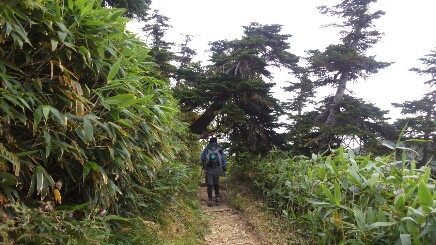 登山：南竜が馬場20140918_d0182188_23492561.jpg