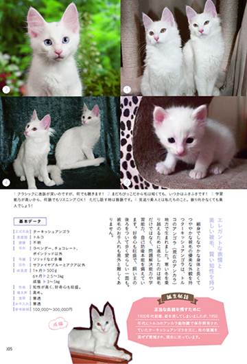 FamilyMart\'s limited release sale \"The kitten in the world\"_e0147291_16124259.jpg