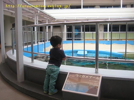 f0210495_15224330.jpg