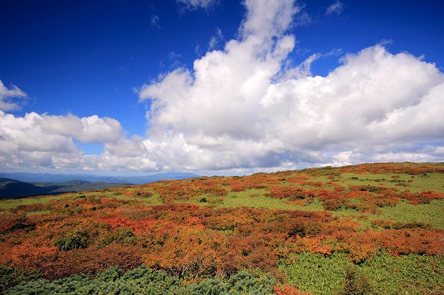 烏帽子岳(乳頭山)_e0137200_21254014.jpg