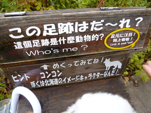 f0256400_15433925.jpg
