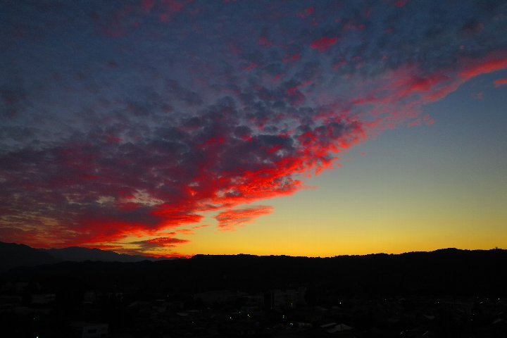 a0268412_21241236.jpg