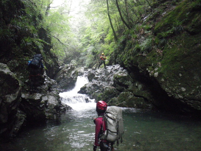 d0006512_10182711.jpg