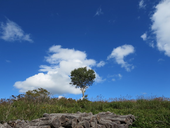 b0093515_8281563.jpg
