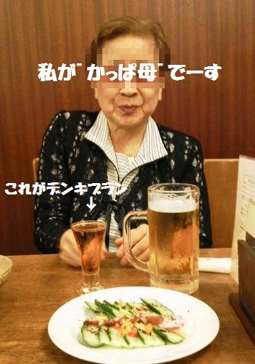 デンキブランをご存じ?_e0234016_1654923.jpg