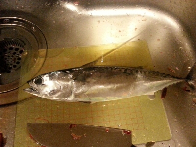 f0219716_2036467.jpg