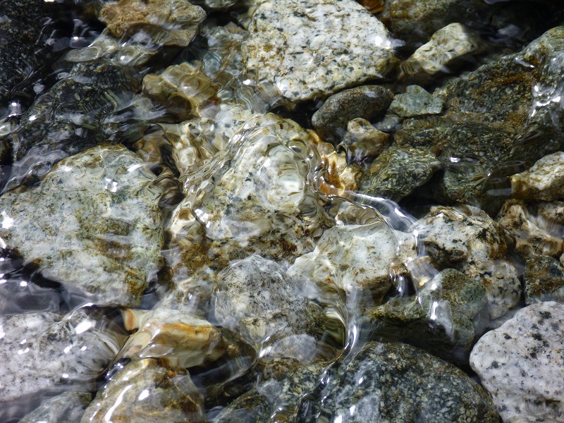 e0284726_0193055.jpg