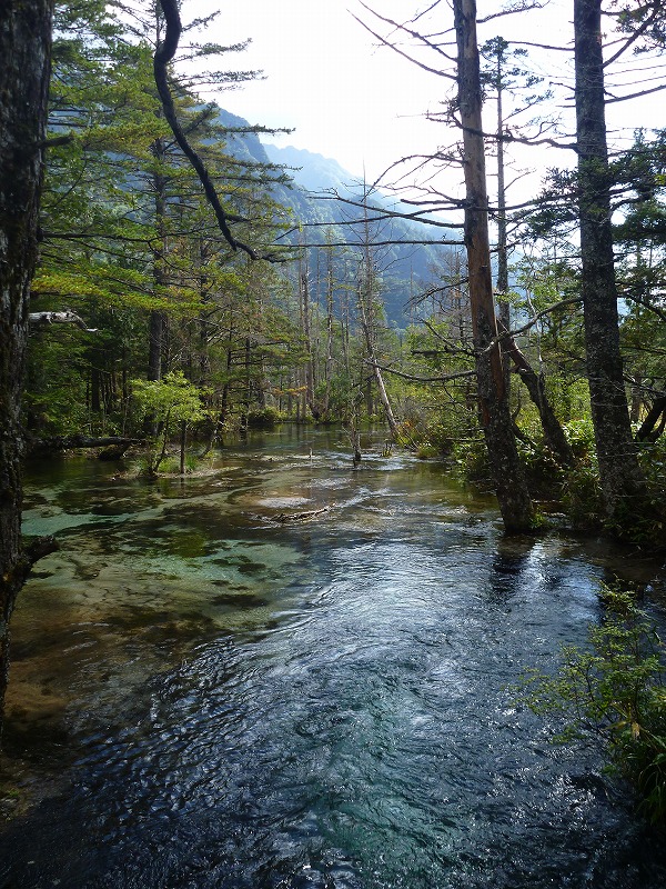 e0284726_023585.jpg