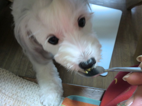 c0236632_754277.jpg