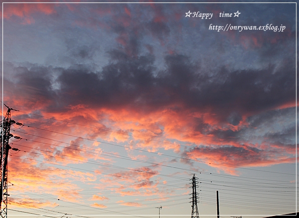生姜焼き弁当と夕空♪_f0348032_18534452.jpg