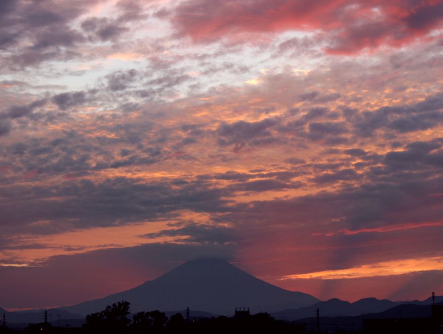 20/September 富士山と萩と大化けの小焼け_e0149934_212256100.jpg