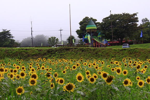 b0016545_2181860.jpg