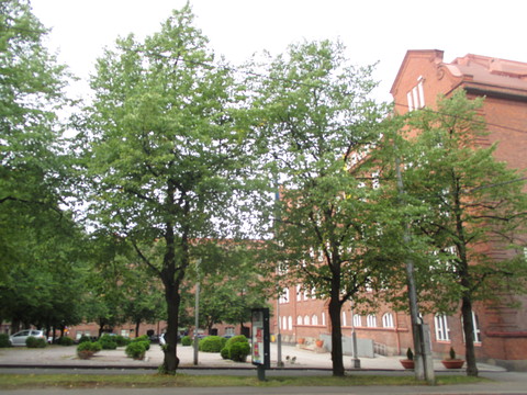 a0307846_16162637.jpg