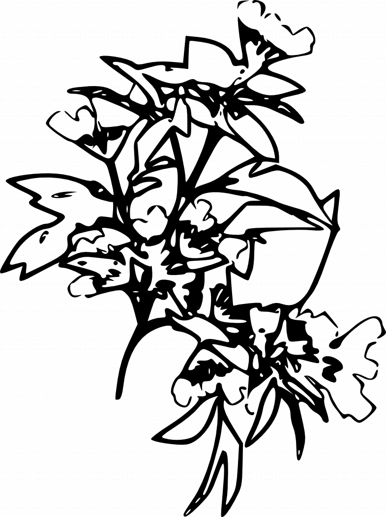 b0232447_17314549.png