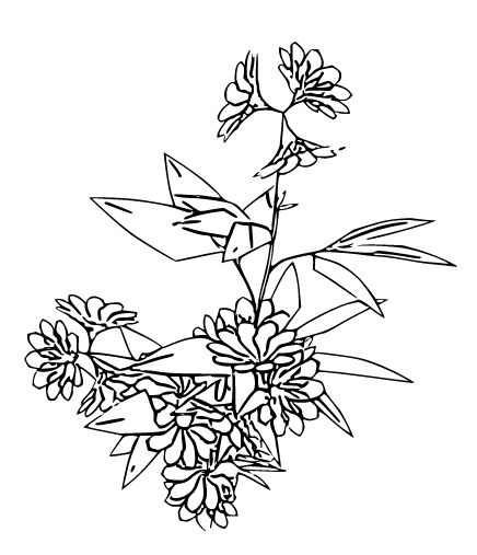b0232447_17323291.png